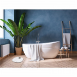 Terraillon Personvåg Master Form Wifi