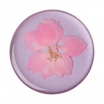 PopSockets Pressed Flower Delphinium Avtagbart Grip med Ställfunktion Premium PopSockets Pressed Flower Delphinium Avtagbart Grip med Ställfunktion Premium
