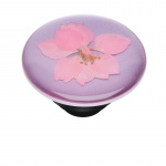 PopSockets Pressed Flower Delphinium Avtagbart Grip med Ställfunktion Premium PopSockets Pressed Flower Delphinium Avtagbart Grip med Ställfunktion Premium