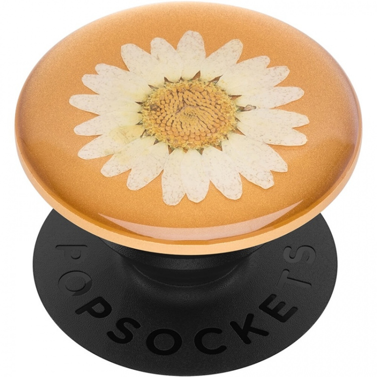 PopSockets Pressed Flower White Daisy Avtagbart Grip med Ställfunktion Premium PopSockets Pressed Flower White Daisy Avtagbart Grip med Ställfunktion Premium