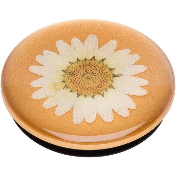 PopSockets Pressed Flower White Daisy Avtagbart Grip med Ställfunktion Premium PopSockets Pressed Flower White Daisy Avtagbart Grip med Ställfunktion Premium