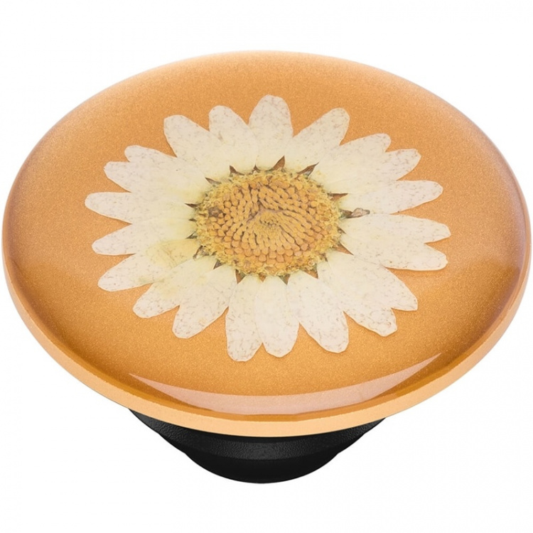 PopSockets Pressed Flower White Daisy Avtagbart Grip med Ställfunktion Premium PopSockets Pressed Flower White Daisy Avtagbart Grip med Ställfunktion Premium