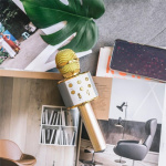 Forever BMS-300 Mikrofon med Bluetooth högtalare, Guld