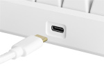 WHITE LINE WK85B Mechanical keyboard, 60% layout, brown switches,white WHITE LINE WK85B Mechanical keyboard, 60% layout, brown switches,white