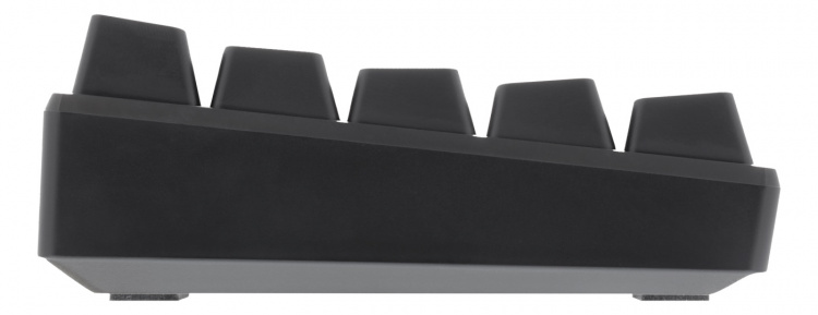 DELTACO GAMING mechanical keyboard with 60% layout, RGB, red switches