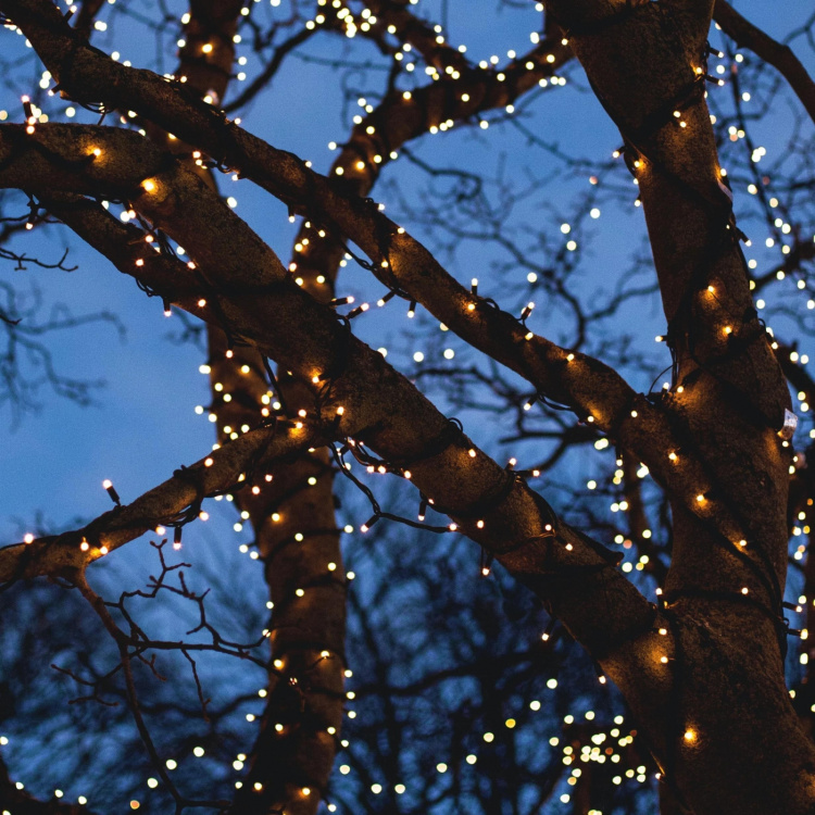 DELTACO SMART HOME WiFi light chain, 5m, 40 led, adapter,IP44, WW