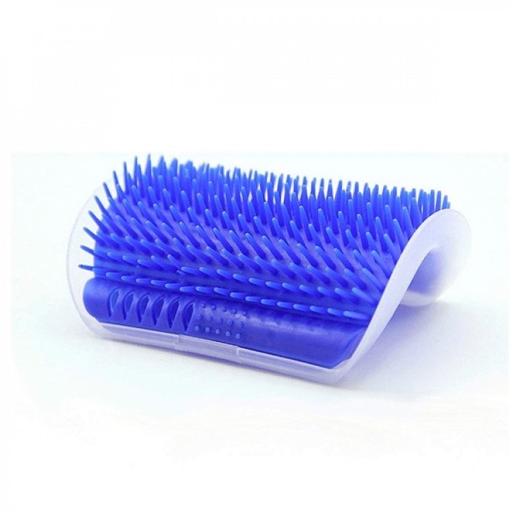 Kattmasserare, Blå Kattmasserare, Blå