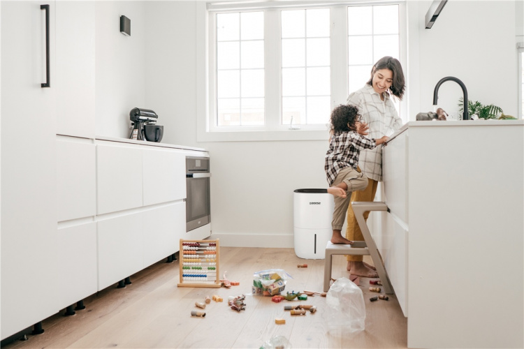 Adam - avfuktare 100m2, 44dB, wifi - Google Home, timer, 2 hastigheter, torkfunktion Adam - avfuktare 100m2, 44dB, wifi - Google Home, timer, 2 hastigheter, torkfunktion