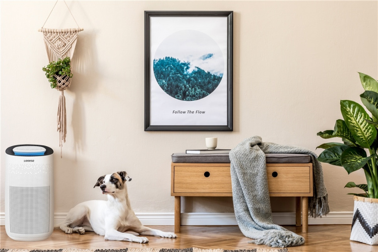 Vigga - 3-i-1 luftrenare, Wifi, HEPA-filter, lasersensor, 50 m2, Google Home