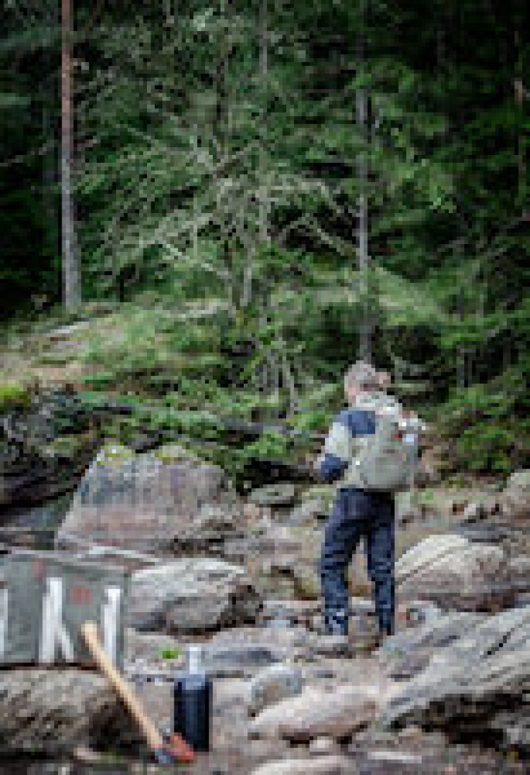 Orrefors Hunting Kylväska, Sand, 38x32x24 cm