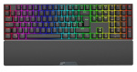 Nordic Gaming Tangentbord med RGB