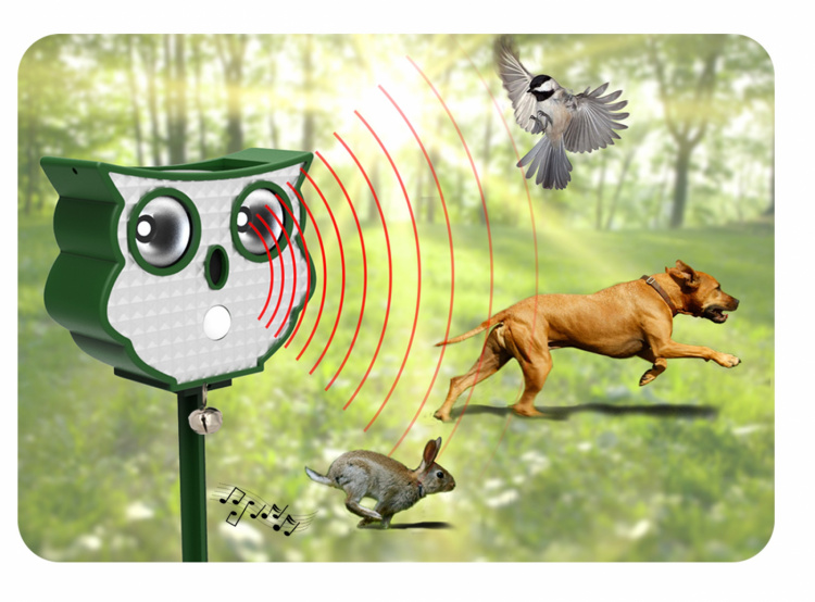 Solcellsdriven Avskräckare mot Mullvad & Sork – Skydda din trädgård utan gift! Solcellsdriven Avskräckare mot Mullvad & Sork – Skydda din trädgård utan gift!