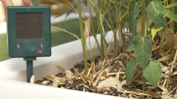 Genius Ideas Fågelskrämma med ljus och ljud