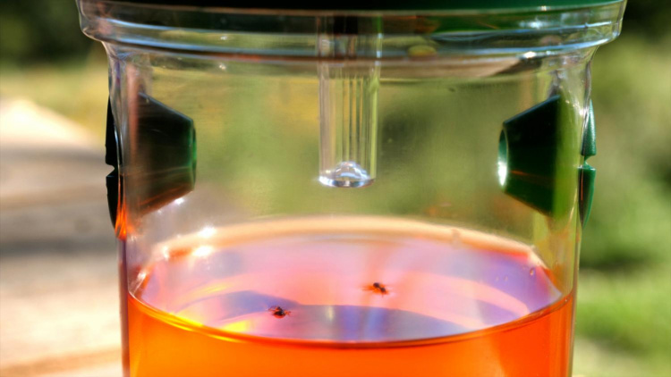 Genius Ideas Solcellsdriven insektsfälla