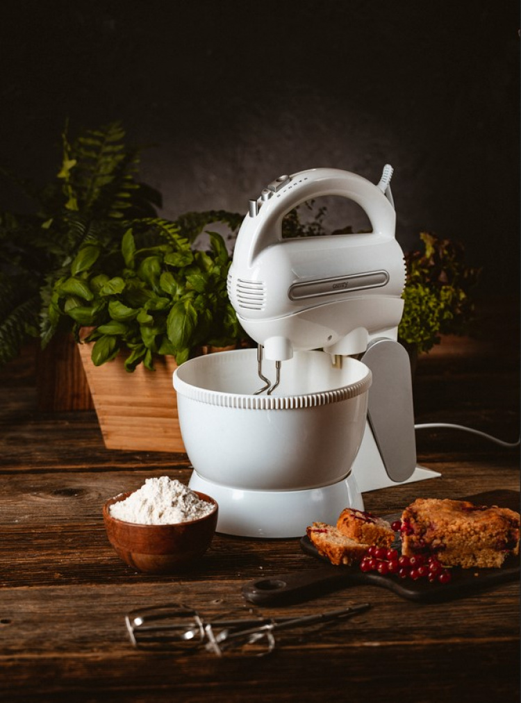 Camry CR 4213 Elvisp med Bunke, 600W