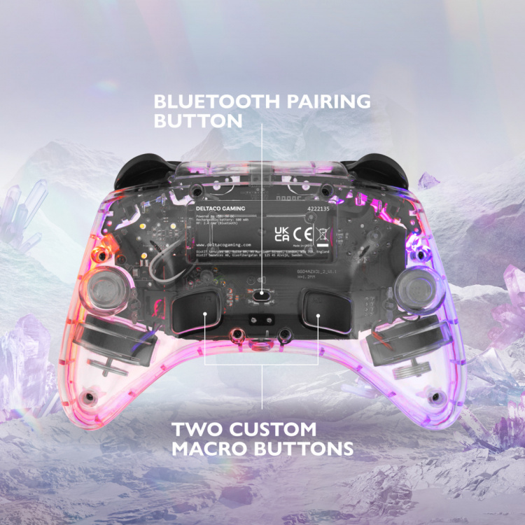 DELTACO Nintendo Switch Controller, transparent, RGB, makroknappar