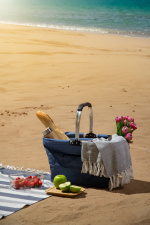 Queen Anne Carry Hopvikbar korg 30L, Blå