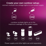 Philips Hue Amarant Garden floodlight Wh/Color 12V