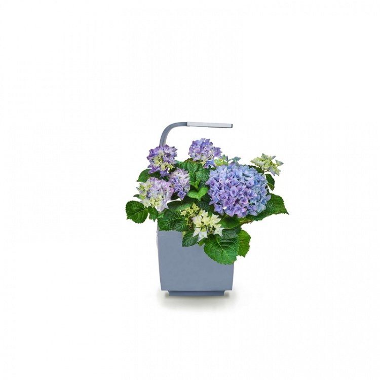 Tregren Kitchen Garden T3 Grå Tregren Kitchen Garden T3 Grå