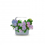 Tregren Kitchen Garden T6 Grå