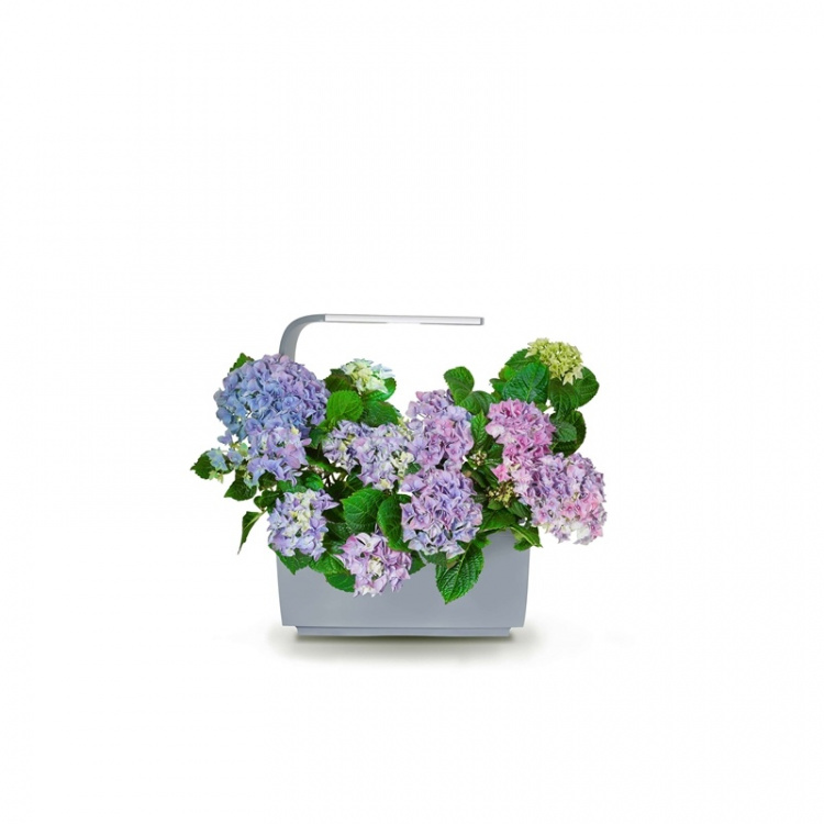 Tregren Kitchen Garden T6 Grå