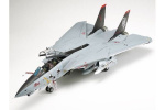 Tamiya 1/48 Grumman F-14D Tomcat