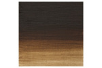 Artists Oil Col 200ML RAW UMBER 554 Artists Oil Col 200ML RAW UMBER 554