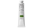 Artists Oil Col 200ML SAP GREEN 599
