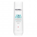 Goldwell Dualsenses Scalp Specialist Anti-Dandruff Shampoo 250ml