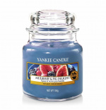 Övrigt Yankee Candle Classic Small Jar Mulberry & Fig Delight 104g