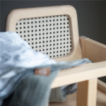 Troll Matstol Martia Rotting