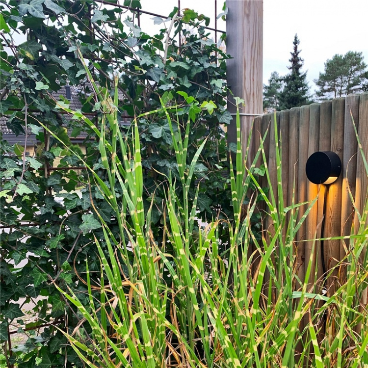 LightsOn Nero Downlight 140lm Ø9cm Svart