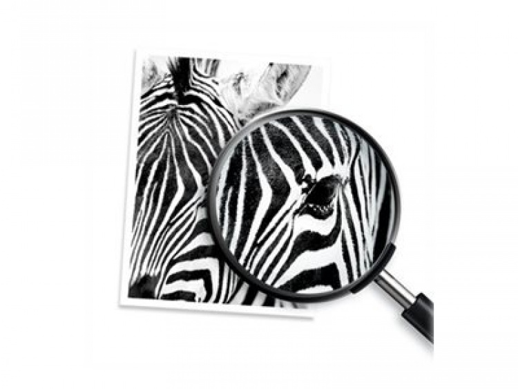 HP 364 bläckpatroner 1 styck Original Standardavkastning Svart