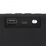 STREETZ Portable Bluetooth speaker, USB/TF/AUX/FM/handsfree, black