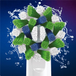 Oral B Borsthuvud Cross Action 3+3+3s Oral B Borsthuvud Cross Action 3+3+3s