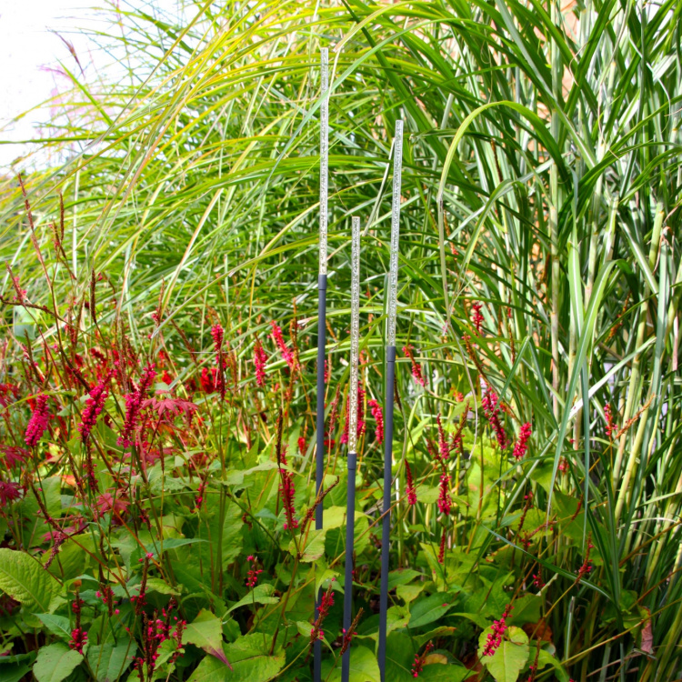 LightsOn Stix Tre smala designljusstrån