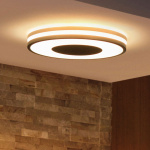 Philips Hue Being Takplafond White Ambiance Svart