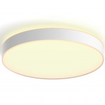 Philips Hue Enrave Taklampa XL 55,1 cm White Ambiance Vit