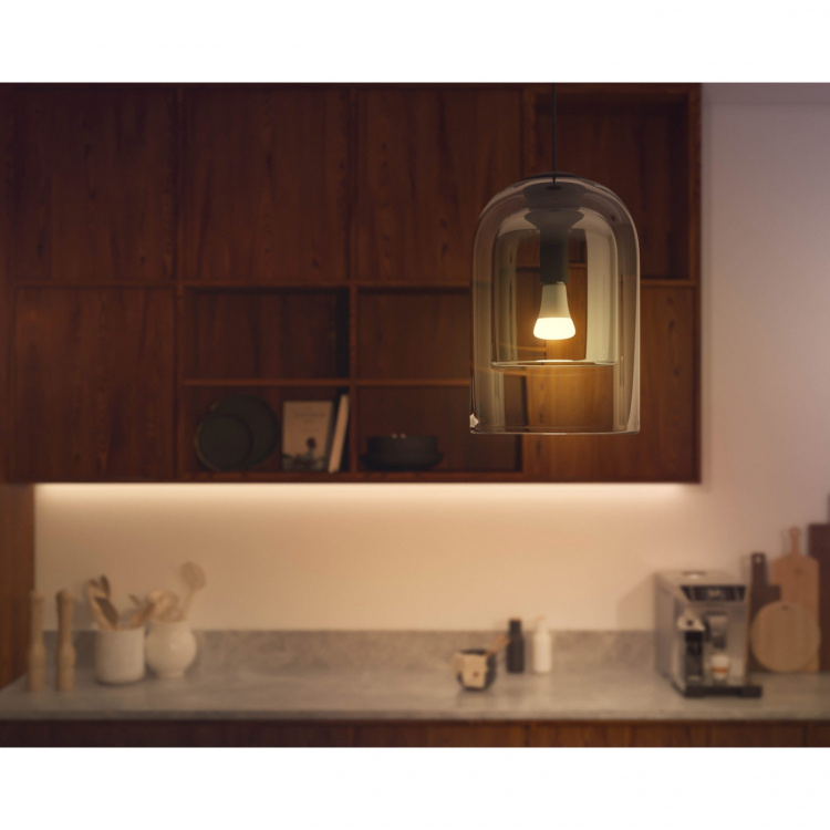 Philips Hue White Ambiance E27 1600lm 1-pack