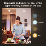 Philips Hue White Ambiance E27 1600lm 1-pack