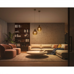 Philips Hue White Ambiance E27 A60 1100lm 1-pack Philips Hue White Ambiance E27 A60 1100lm 1-pack