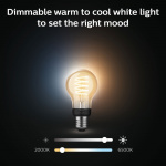 Philips Hue White Ambiance Filament E27 A60 40W Philips Hue White Ambiance Filament E27 A60 40W