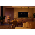 Philips Hue White Ambiance Filament E27 G125 Glob