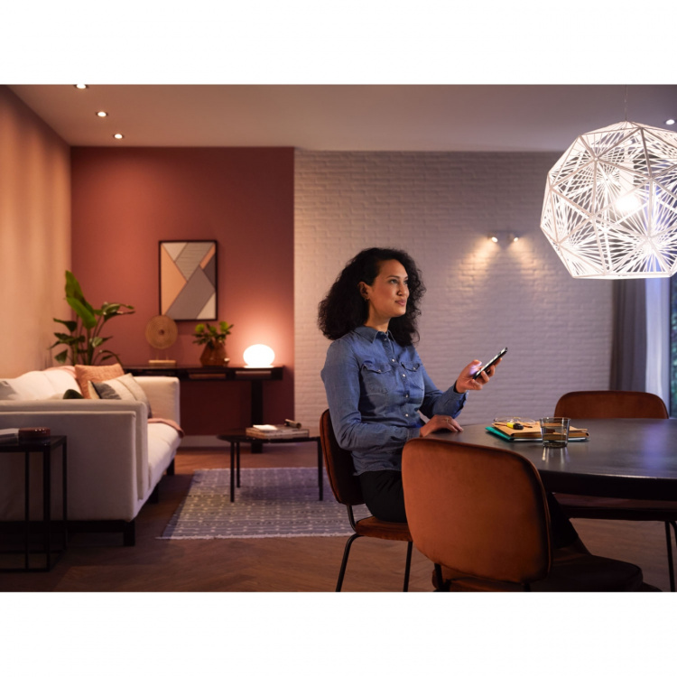 Philips Hue White E27 A60 1100lm 2-pack