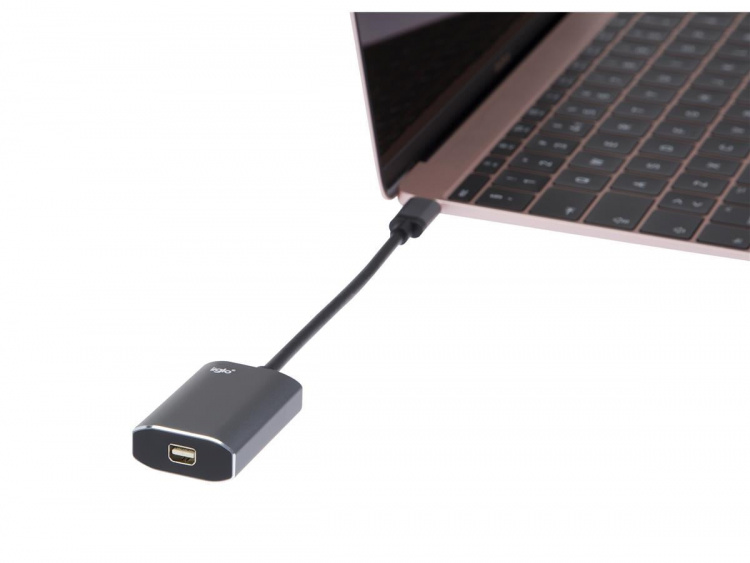 iiglo USB-C Cable Adapter HDMI
