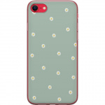 Mobilskal till Apple iPhone SE (2020) med Prästkragar motiv