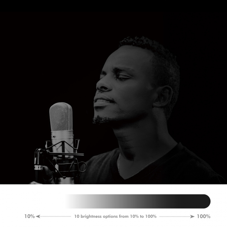 LogiLink Ring light Hjärtform RGB med bordsstativ