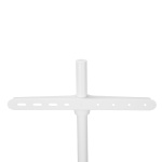 Nedis Golvstativ | 50 - 65 