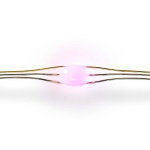 Nedis SmartLife LED-Remsa | Flerfärgad | SMD | 5.00 m | IP20 | 2700 - 6500 K | 400 lm | Android™ / IOS