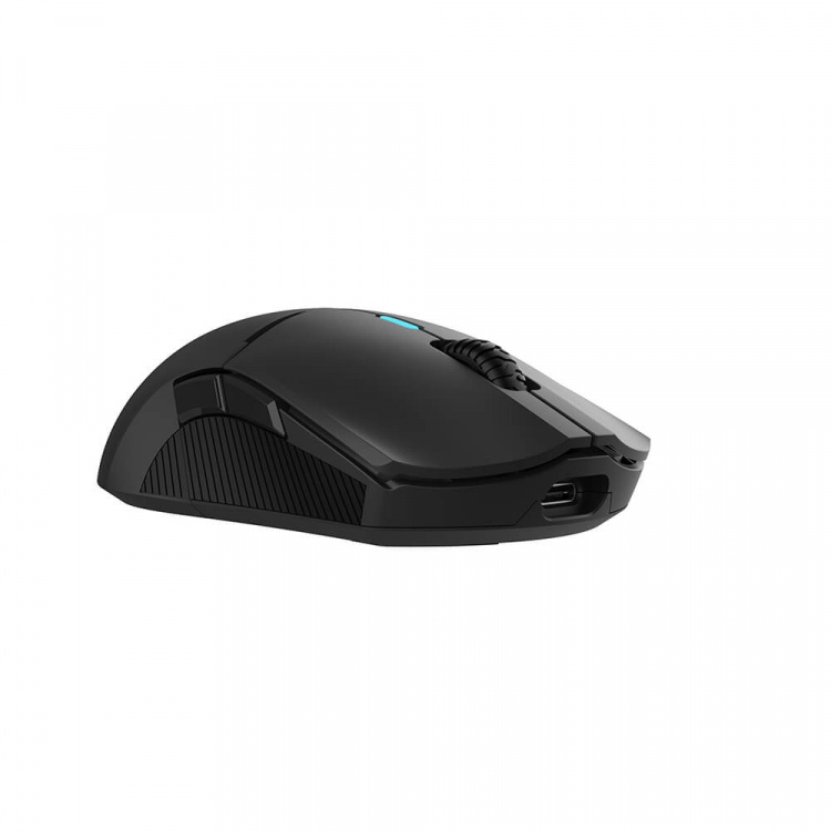 QPAD Gamingmus DX900 QPAD Gamingmus DX900